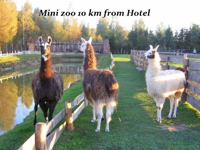 Hotel Pajurio Vieskelis Klaipėda Exterior foto